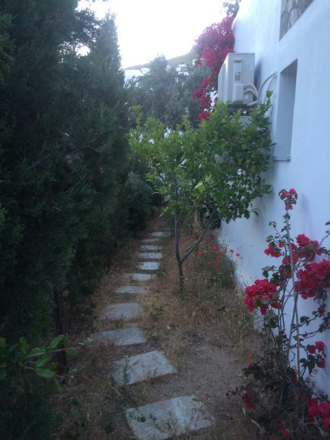 Summer Dream , 5 Min Walk To The Beach Λιβαδάκια Εξωτερικό φωτογραφία